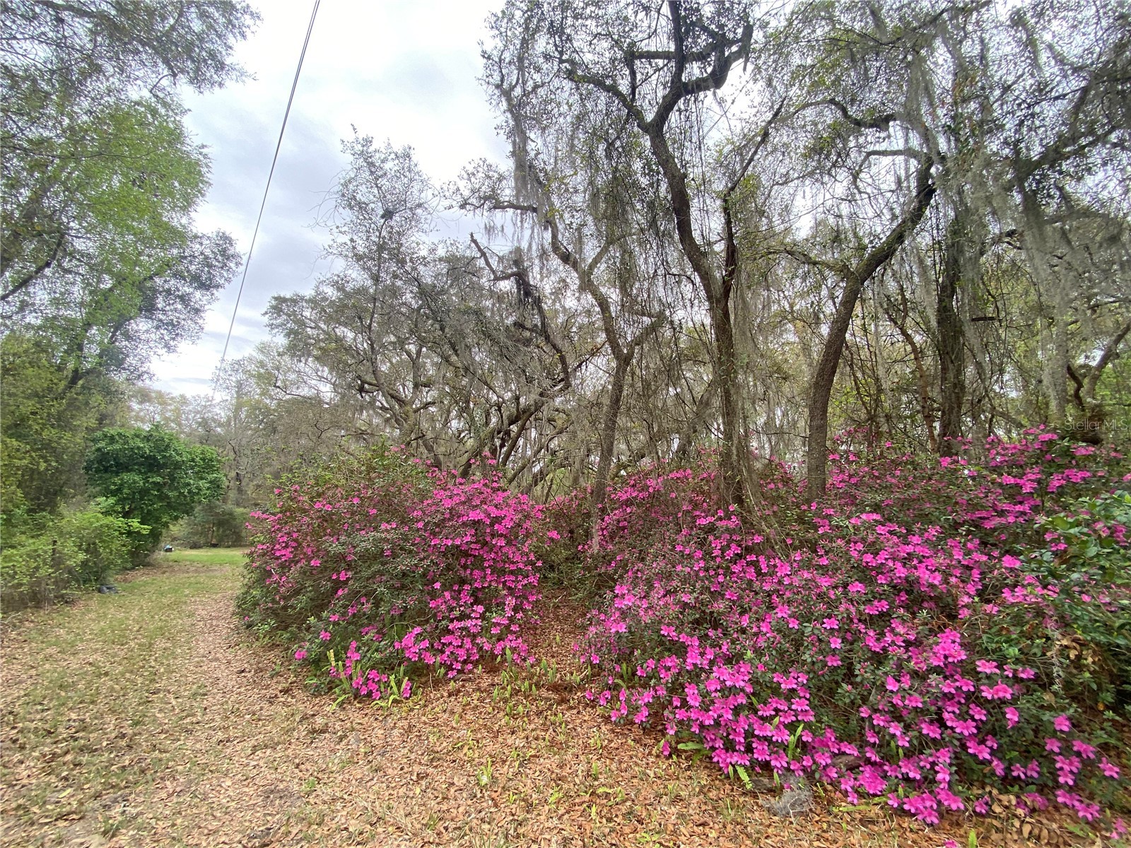 119 Twin Lakes Road Hawthorne FL 32640 GC538681 image20