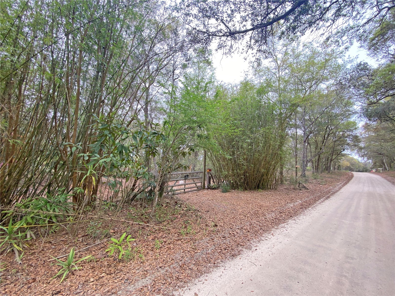 119 Twin Lakes Road Hawthorne FL 32640 GC538681 image3