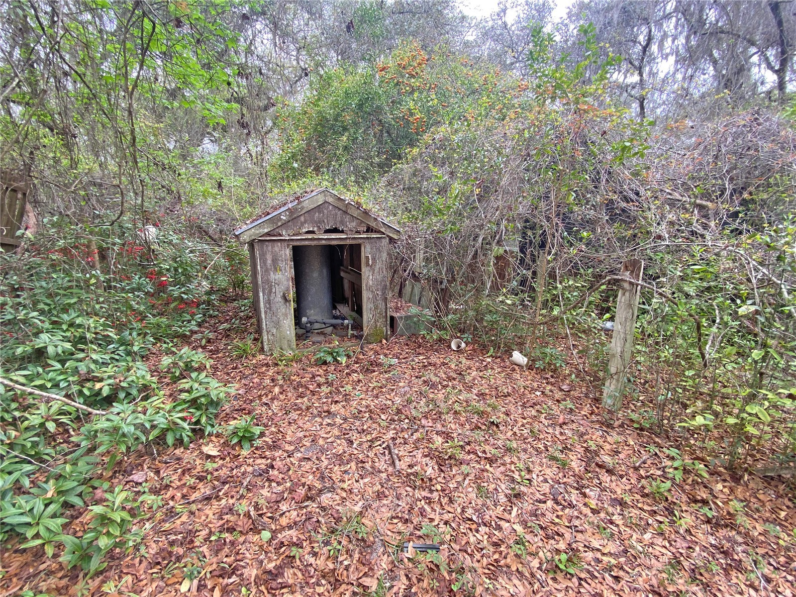 119 Twin Lakes Road Hawthorne FL 32640 GC538681 image38