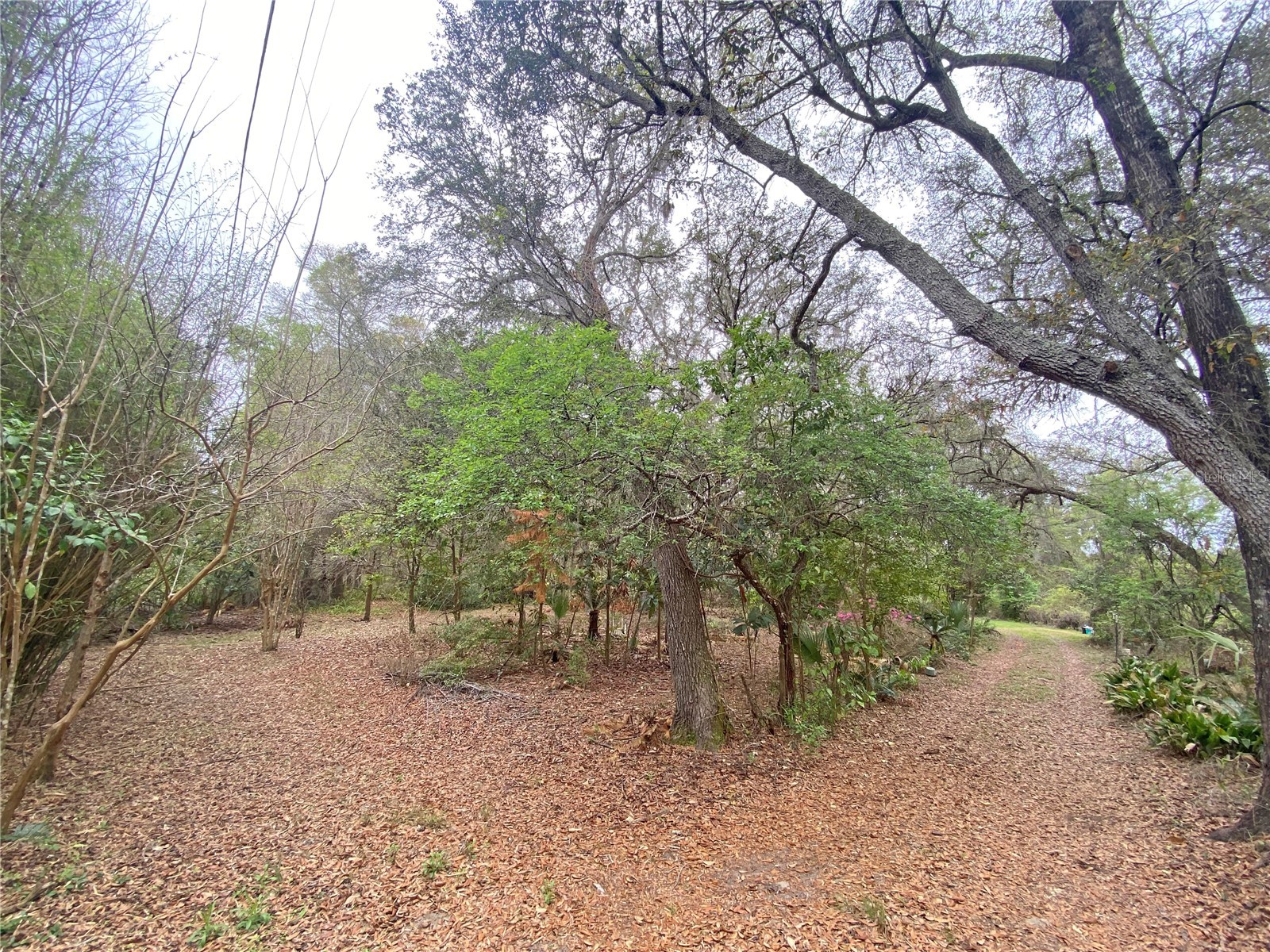 119 Twin Lakes Road Hawthorne FL 32640 GC538681 image4