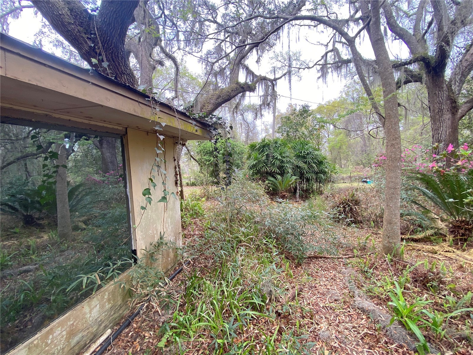 119 Twin Lakes Road Hawthorne FL 32640 GC538681 image43