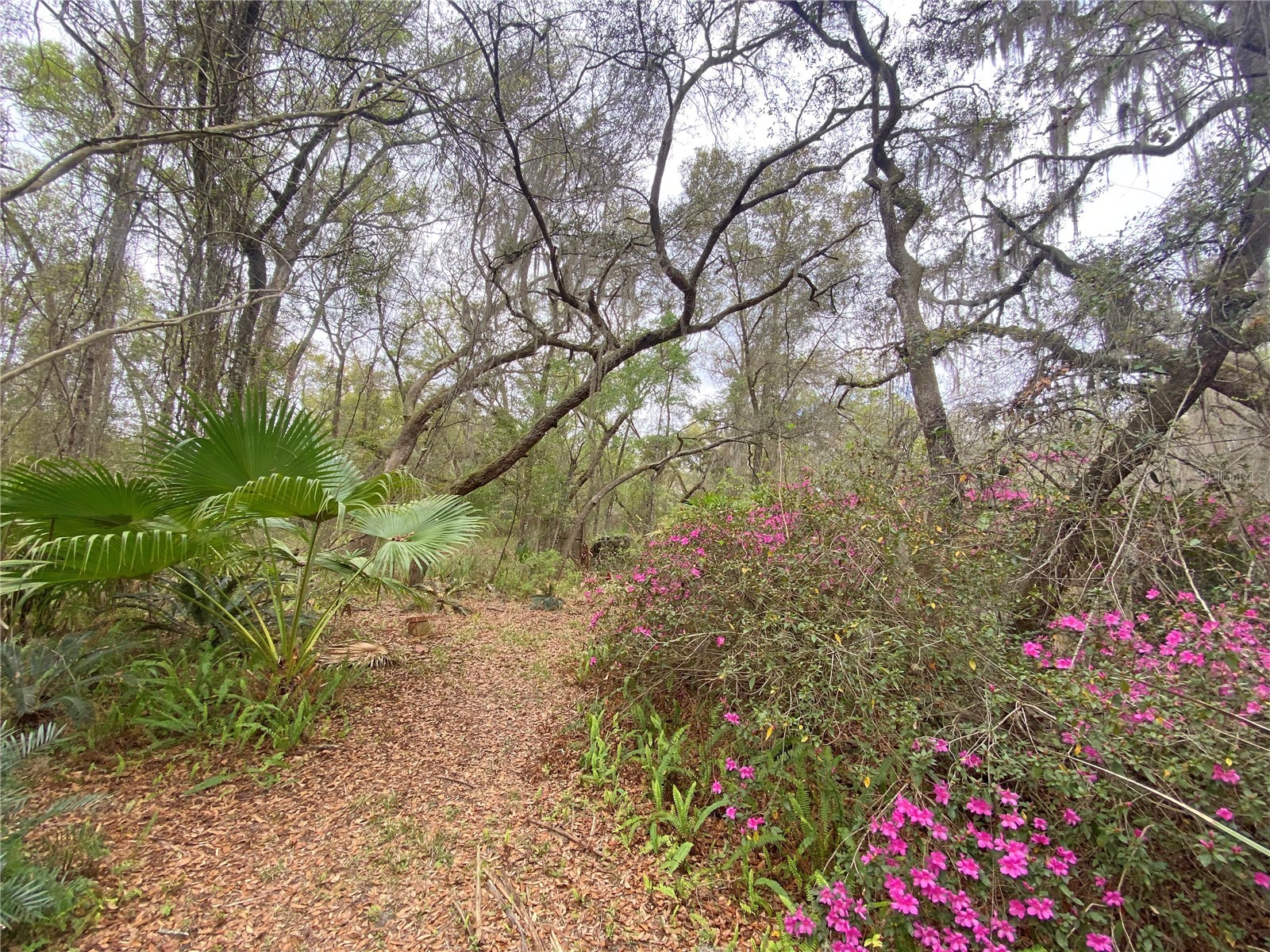 119 Twin Lakes Road Hawthorne FL 32640 GC538681 image58