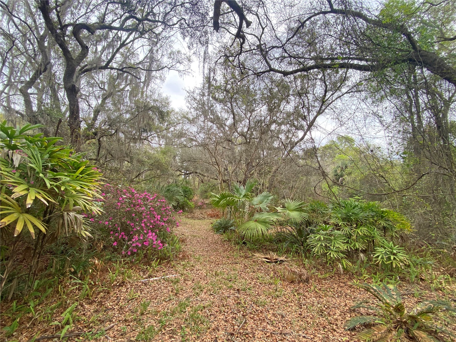 119 Twin Lakes Road Hawthorne FL 32640 GC538681 image59