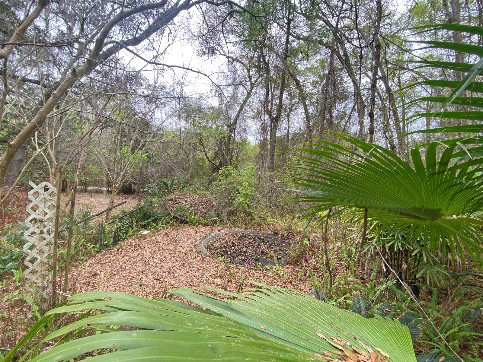 119 Twin Lakes Road Hawthorne FL 32640 GC538681 image60