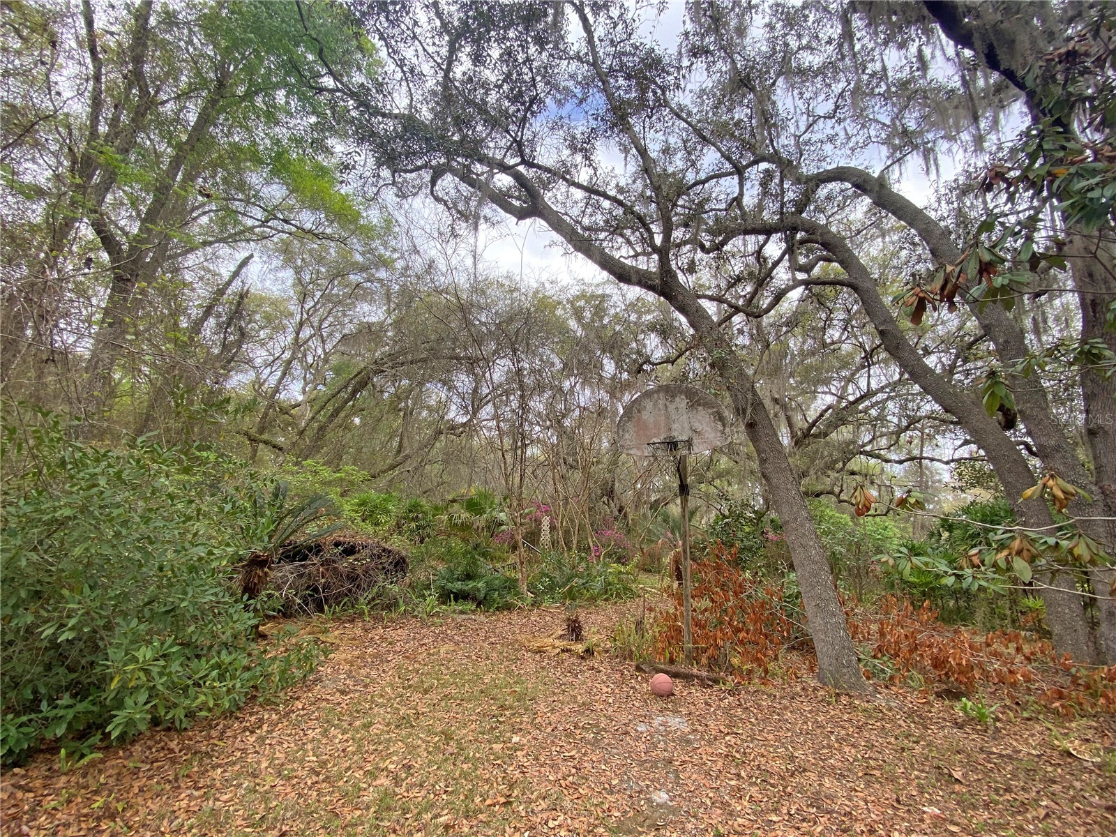 119 Twin Lakes Road Hawthorne FL 32640 GC538681 image61