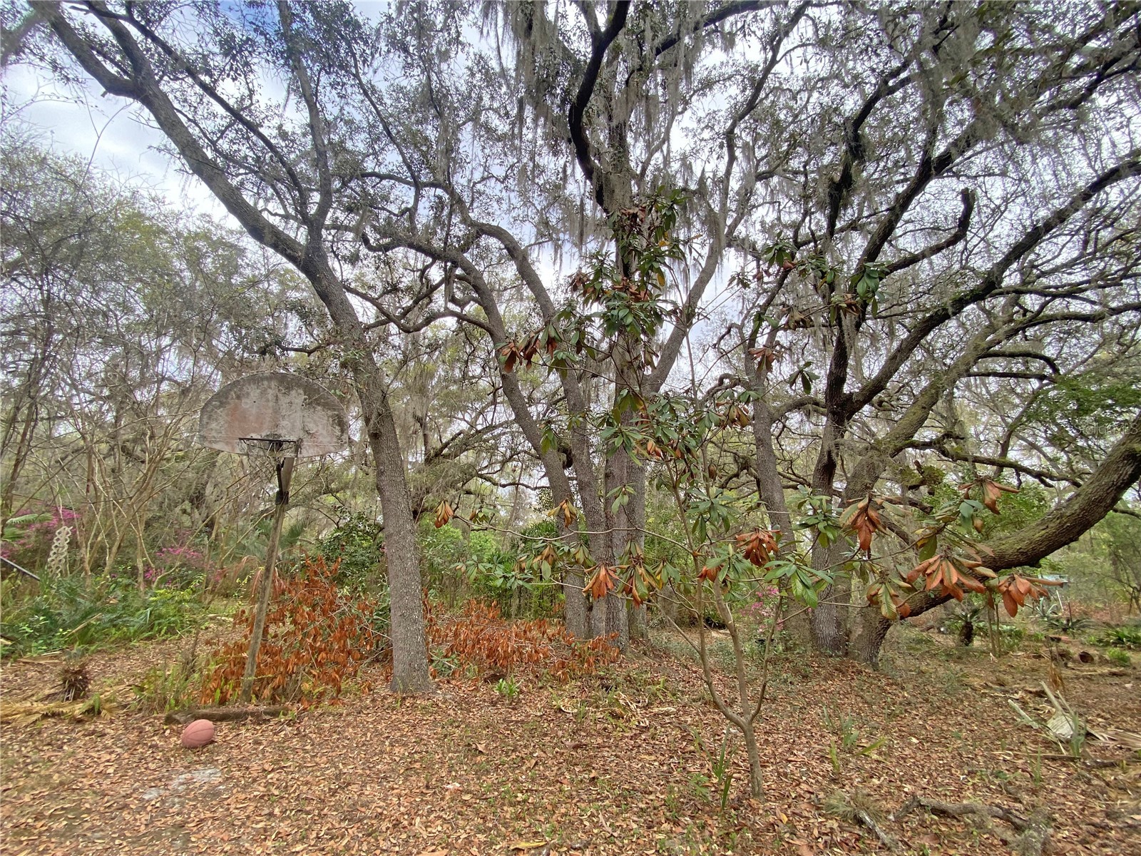 119 Twin Lakes Road Hawthorne FL 32640 GC538681 image62