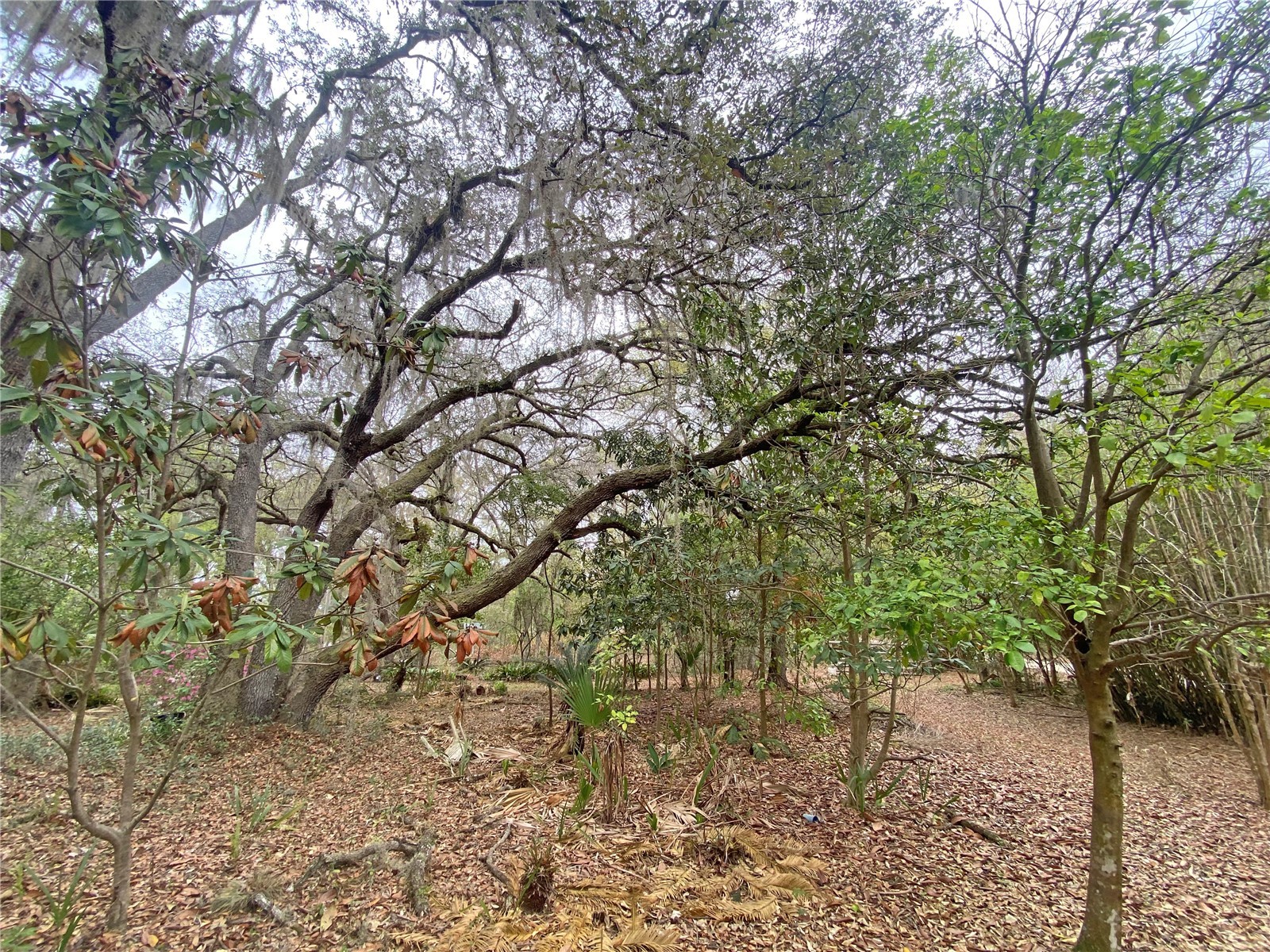 119 Twin Lakes Road Hawthorne FL 32640 GC538681 image63