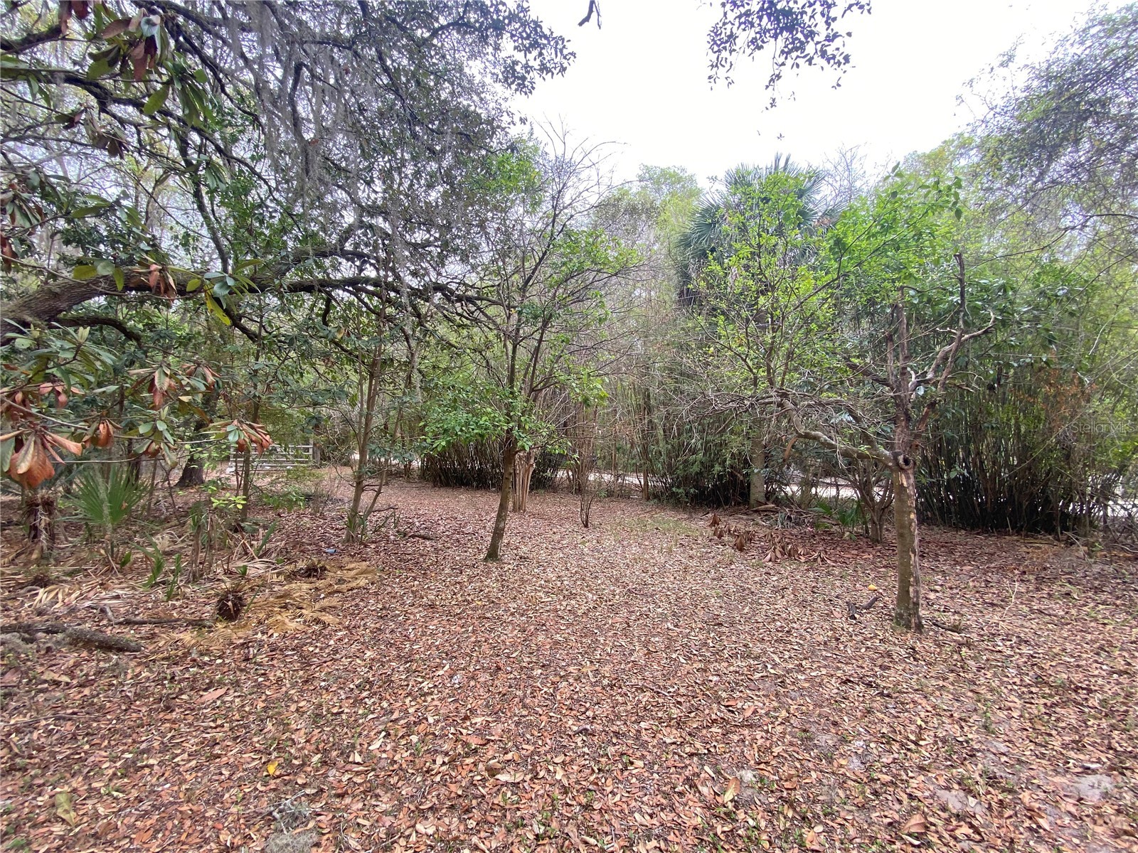 119 Twin Lakes Road Hawthorne FL 32640 GC538681 image64