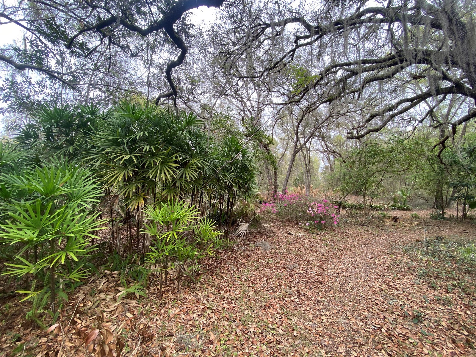 119 Twin Lakes Road Hawthorne FL 32640 GC538681 image65