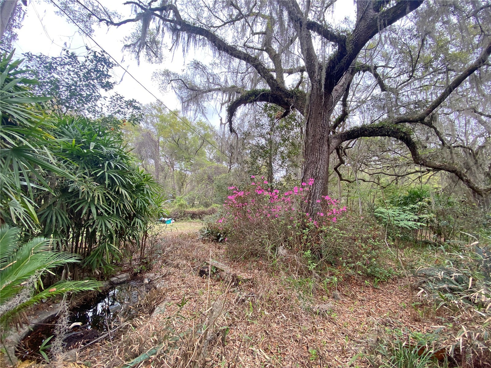 119 Twin Lakes Road Hawthorne FL 32640 GC538681 image66