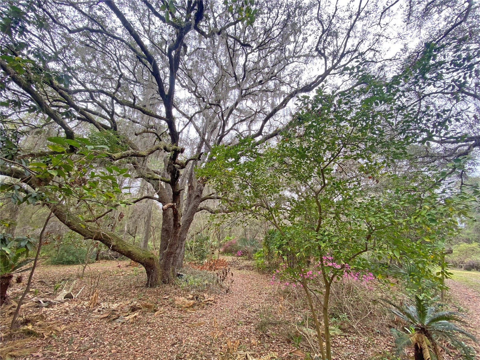 119 Twin Lakes Road Hawthorne FL 32640 GC538681 image7