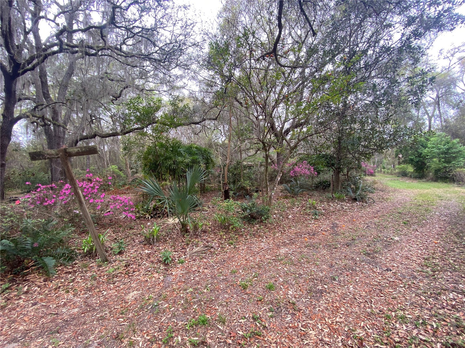 119 Twin Lakes Road Hawthorne FL 32640 GC538681 image8