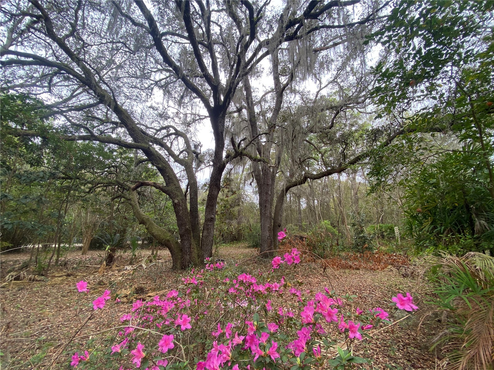 119 Twin Lakes Road Hawthorne FL 32640 GC538681 image9