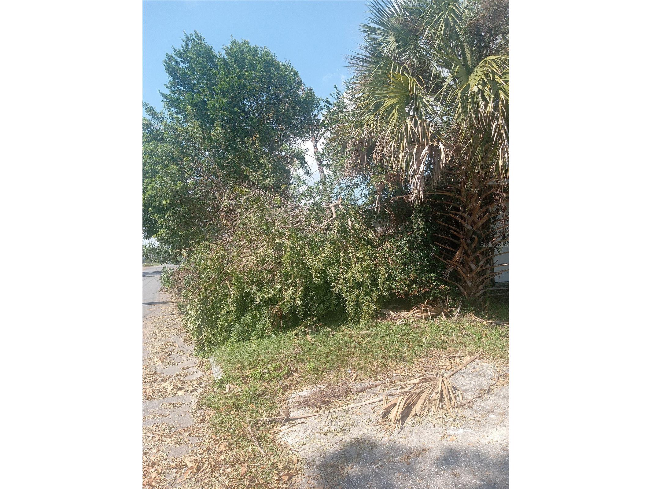 119 W 7th Street Lakeland FL 33805 TB8389477 image1