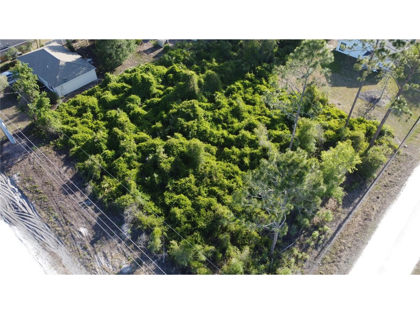 1190 9th Avenue Deland FL 32724 O6299356 image16