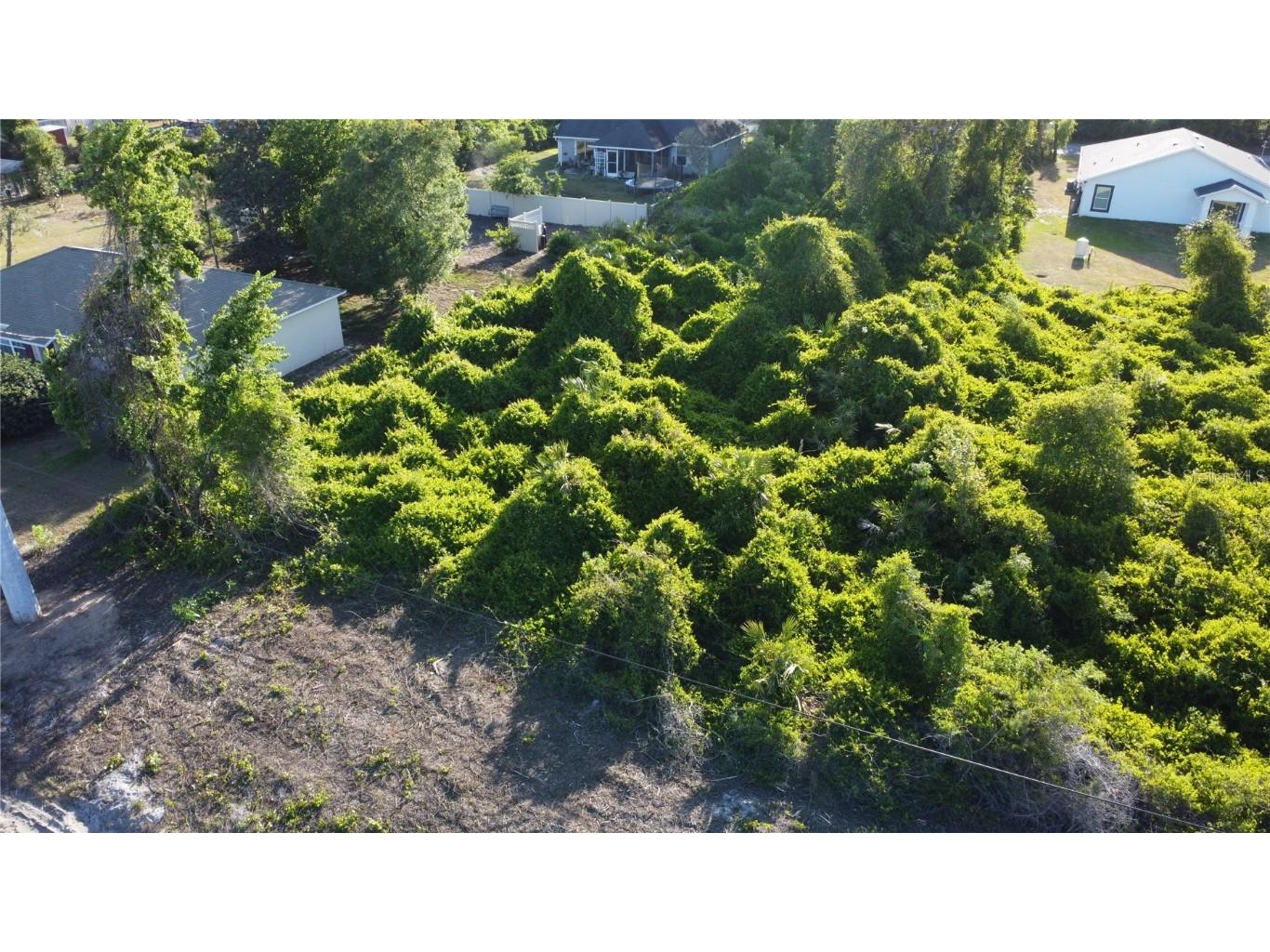 1190 9th Avenue Deland FL 32724 O6299356 image20