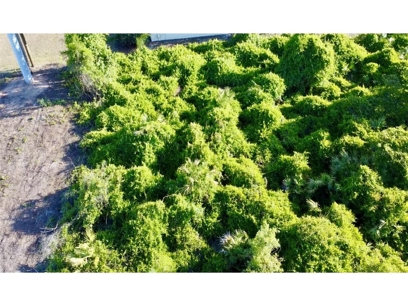 1190 9th Avenue Deland FL 32724 O6299356 image29