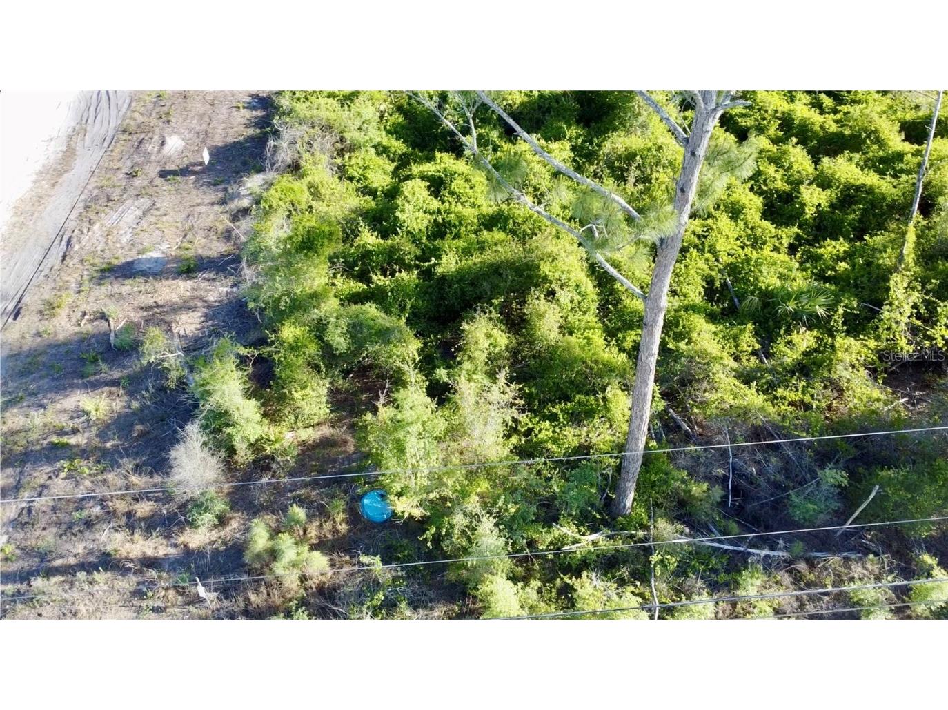 1190 9th Avenue Deland FL 32724 O6299356 image30