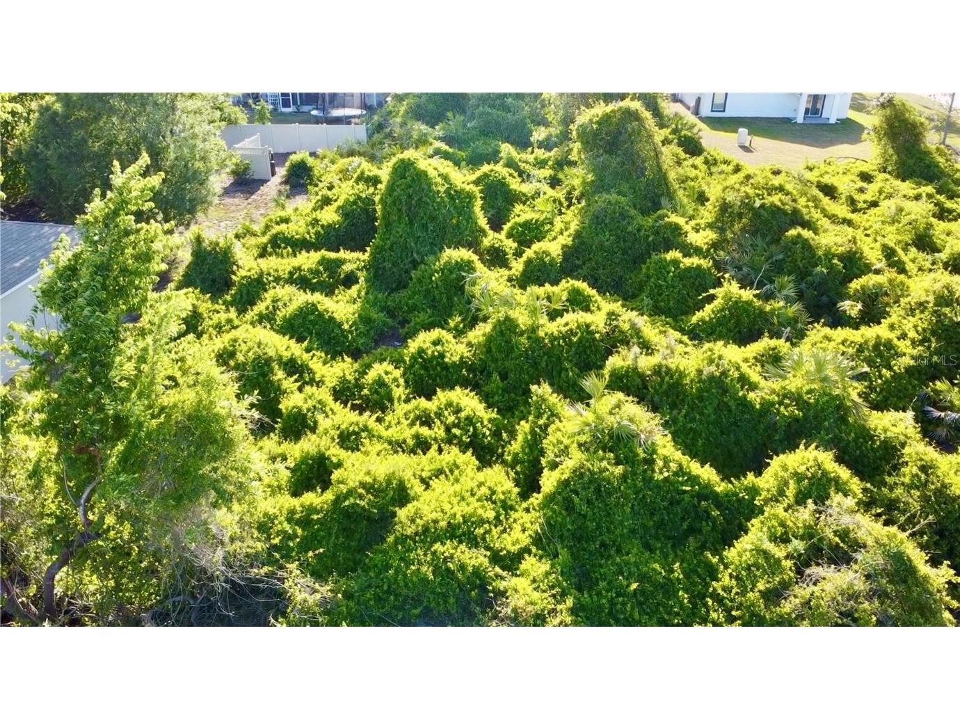 1190 9th Avenue Deland FL 32724 O6299356 image34