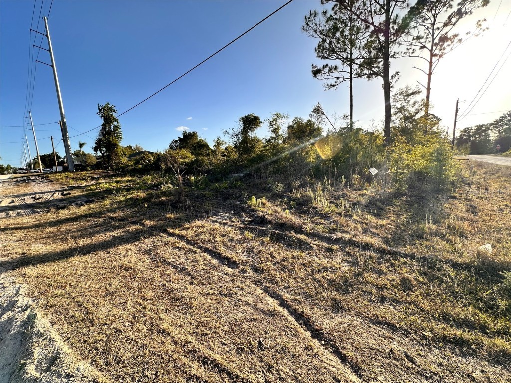 1190 9th Avenue Deland FL 32724 O6299356 image4