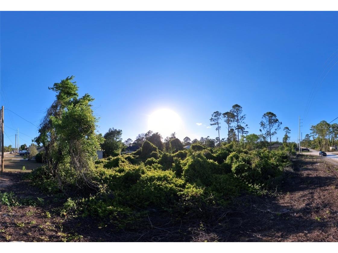 1190 9th Avenue Deland FL 32724 O6299356 image44