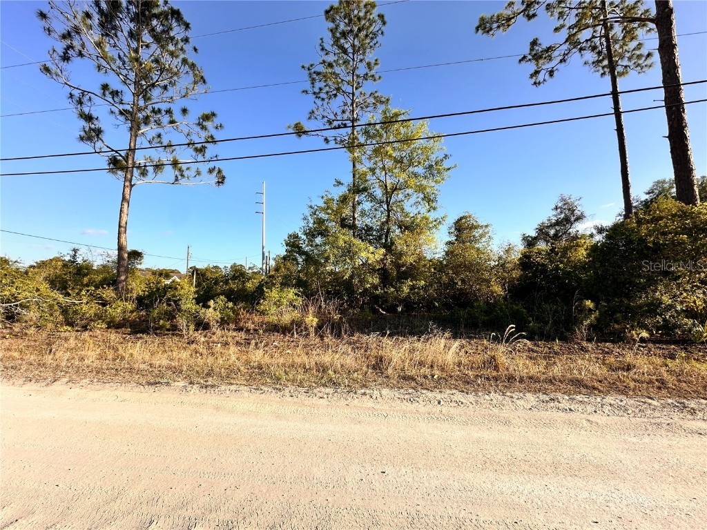 1190 9th Avenue Deland FL 32724 O6299356 image5