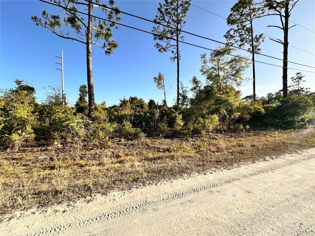 1190 9th Avenue Deland FL 32724 O6299356 image6