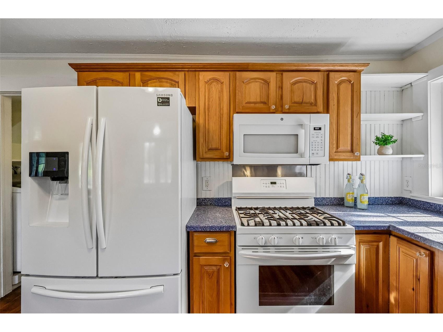 1190 Old Mount Dora Road Eustis FL 32726 G5112019 image23