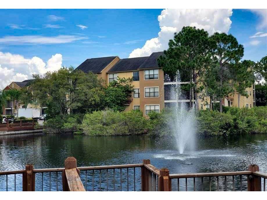 11901 4th Street N #10105 Saint Petersburg FL 33716 TB8476641 image52