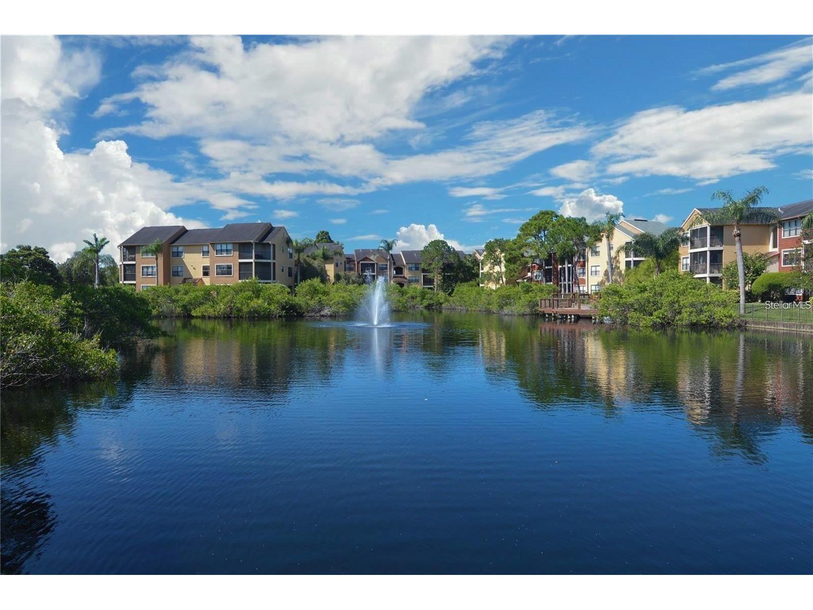 11901 4th Street N #10105 Saint Petersburg FL 33716 TB8476641 image53