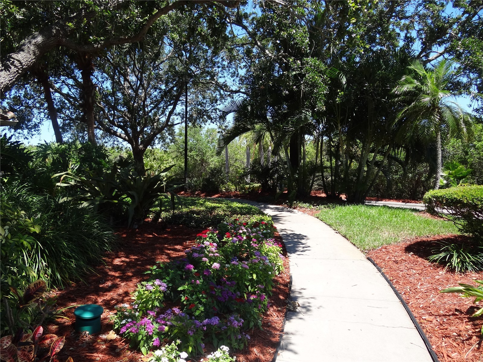 11901 4th Street N #1101 Saint Petersburg FL 33716 TB8487242 image3