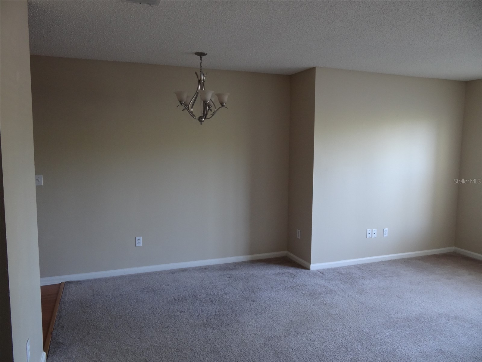 11901 4th Street N #1101 Saint Petersburg FL 33716 TB8487242 image5