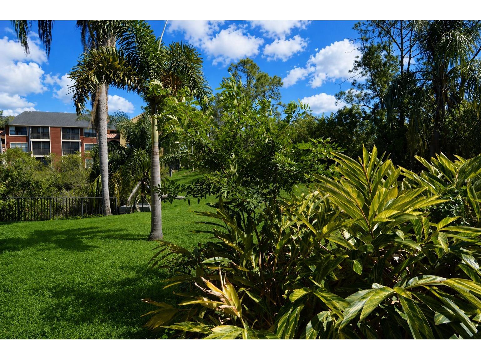 11901 4th Street N #11105 Saint Petersburg FL 33716 TB8499830 image43