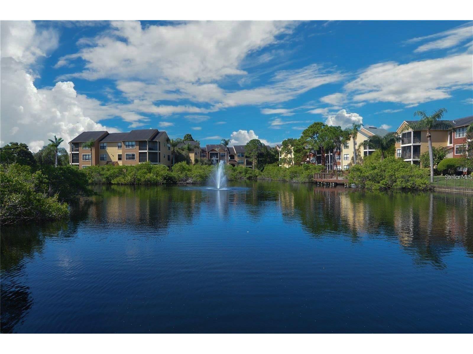 11901 4th Street N #11105 Saint Petersburg FL 33716 TB8499830 image57