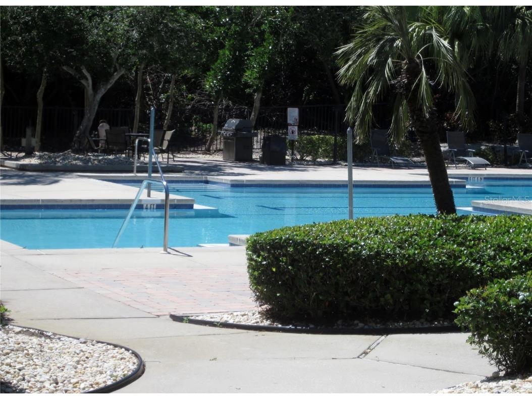 11901 4th Street N #11206 Saint Petersburg FL 33716 TB8432214 image20