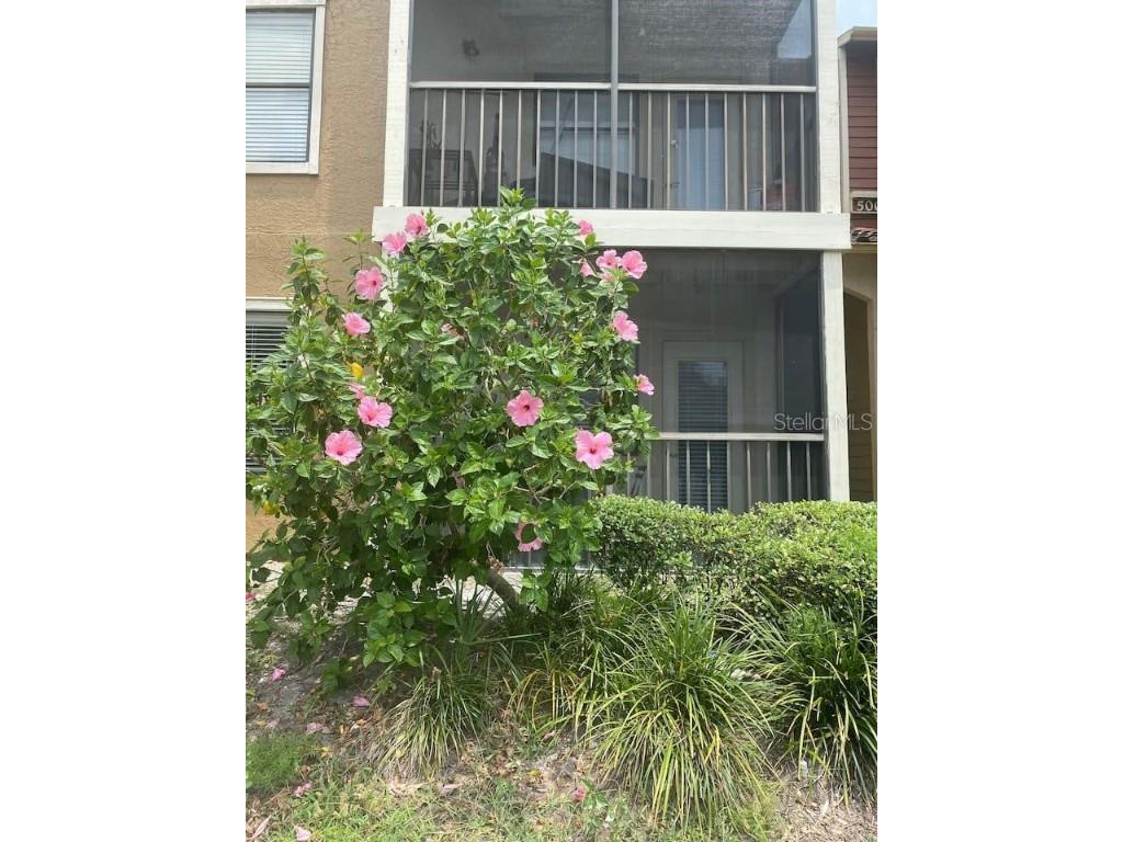 11901 4th Street N #5101 Saint Petersburg FL 33716 O6343383 image1