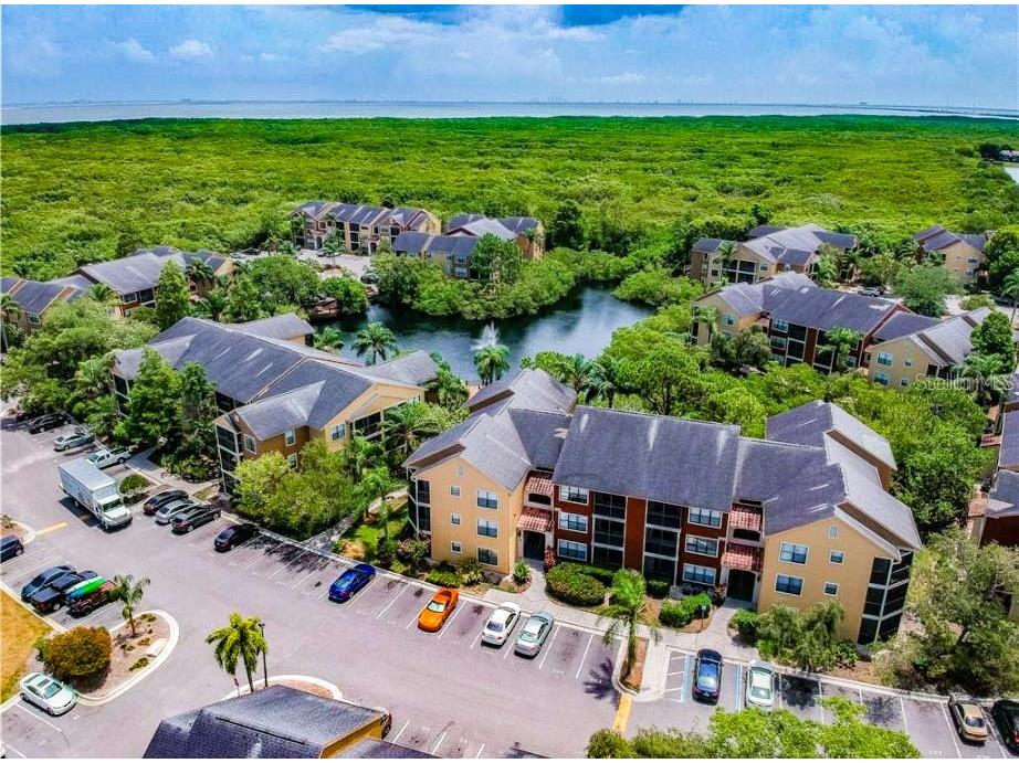 11901 4th Street N #5209 Saint Petersburg FL 33716 U8191936 image1