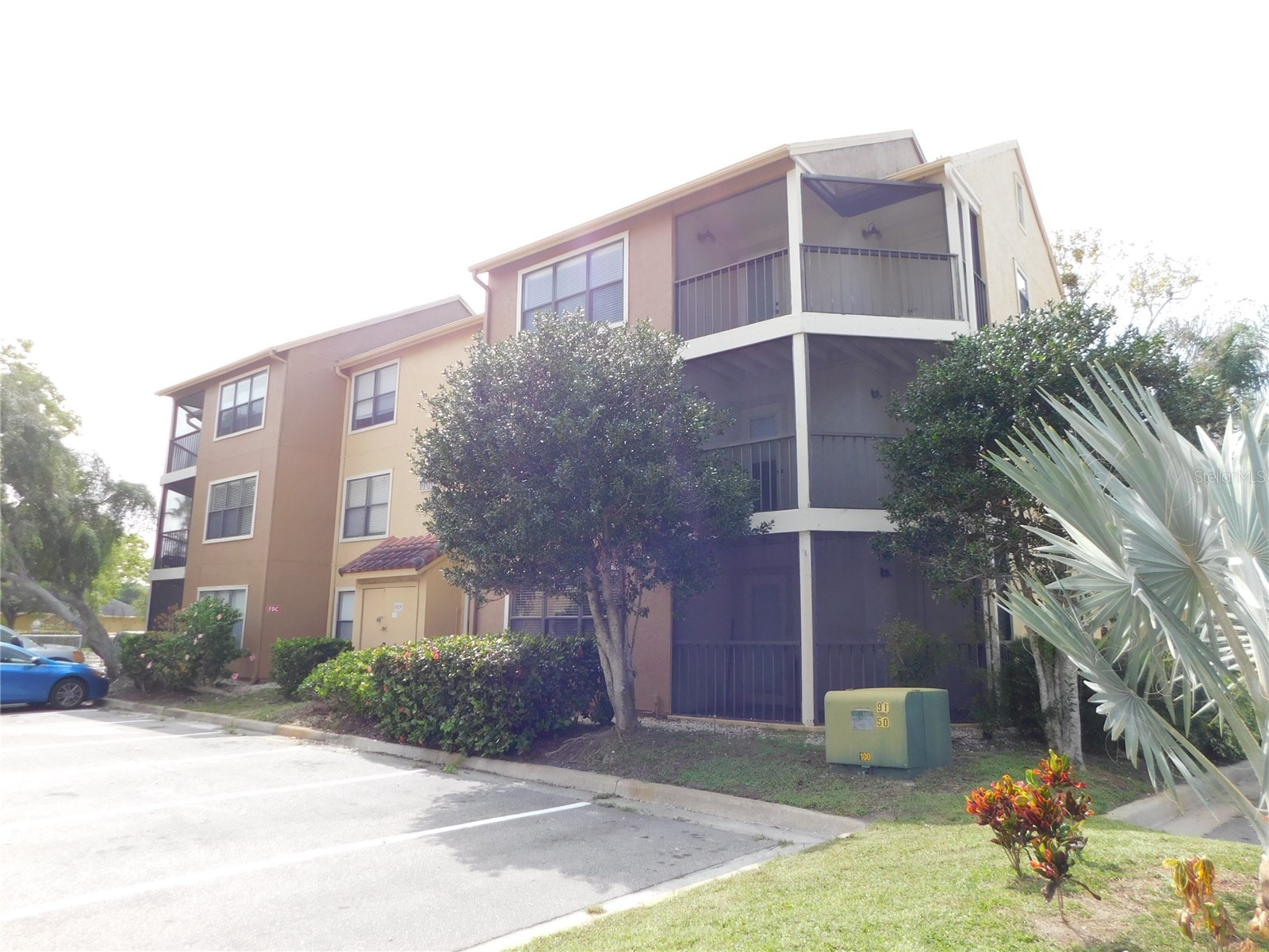 11901 4th Street N #7107 Saint Petersburg FL 33716 TB8499160 image1