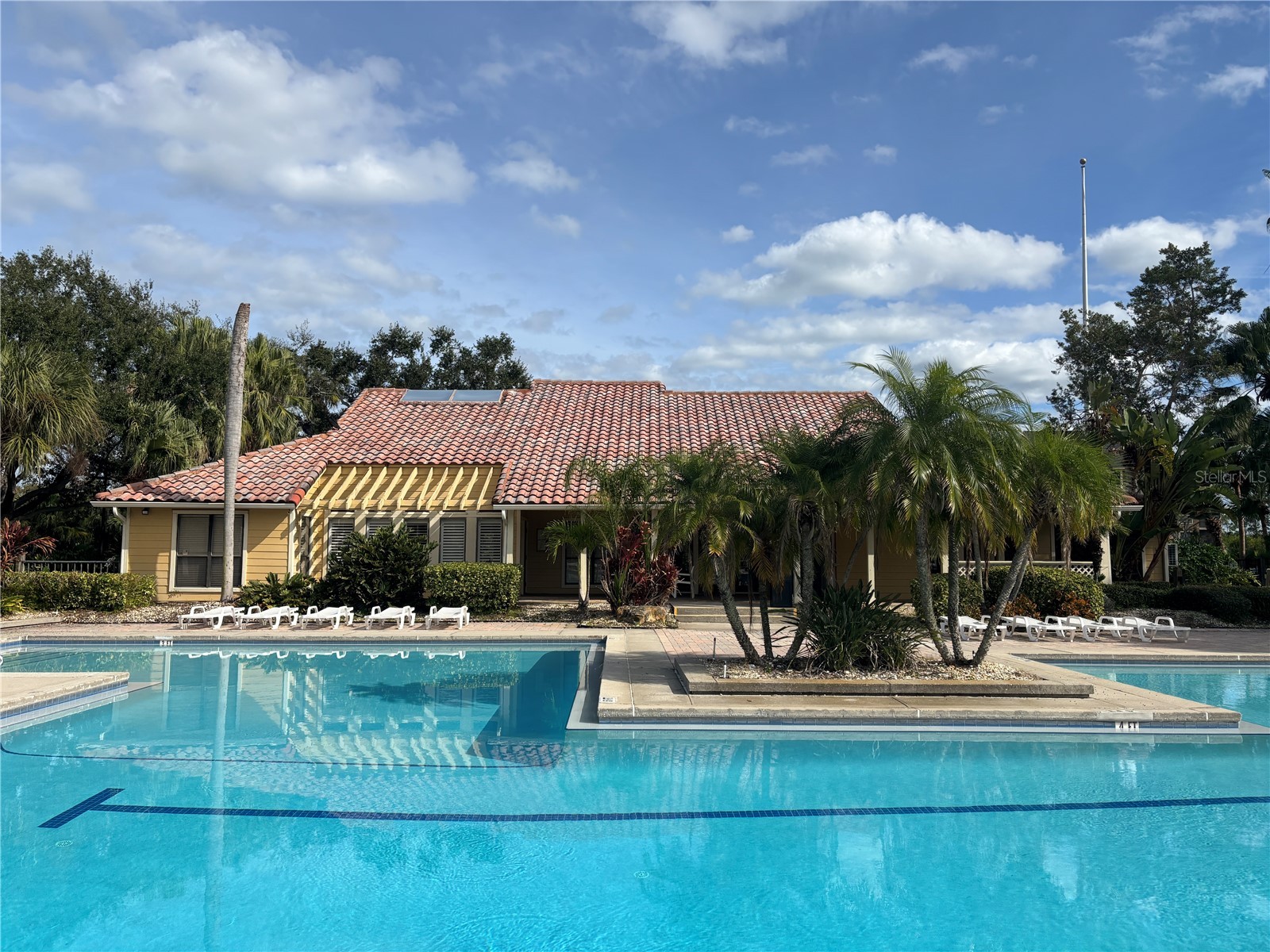 11901 4th Street N #7107 Saint Petersburg FL 33716 TB8499160 image2