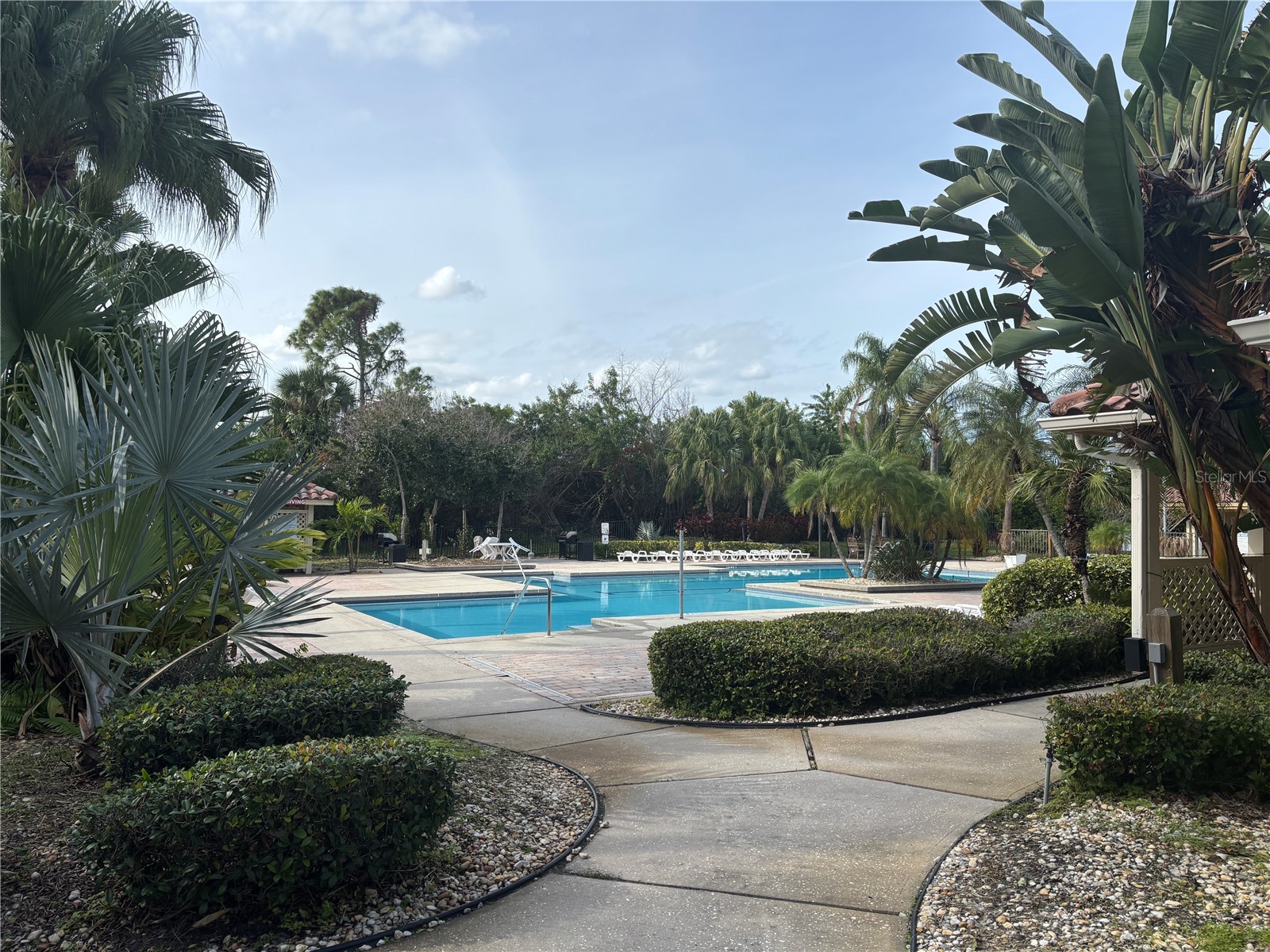11901 4th Street N #7107 Saint Petersburg FL 33716 TB8499160 image26