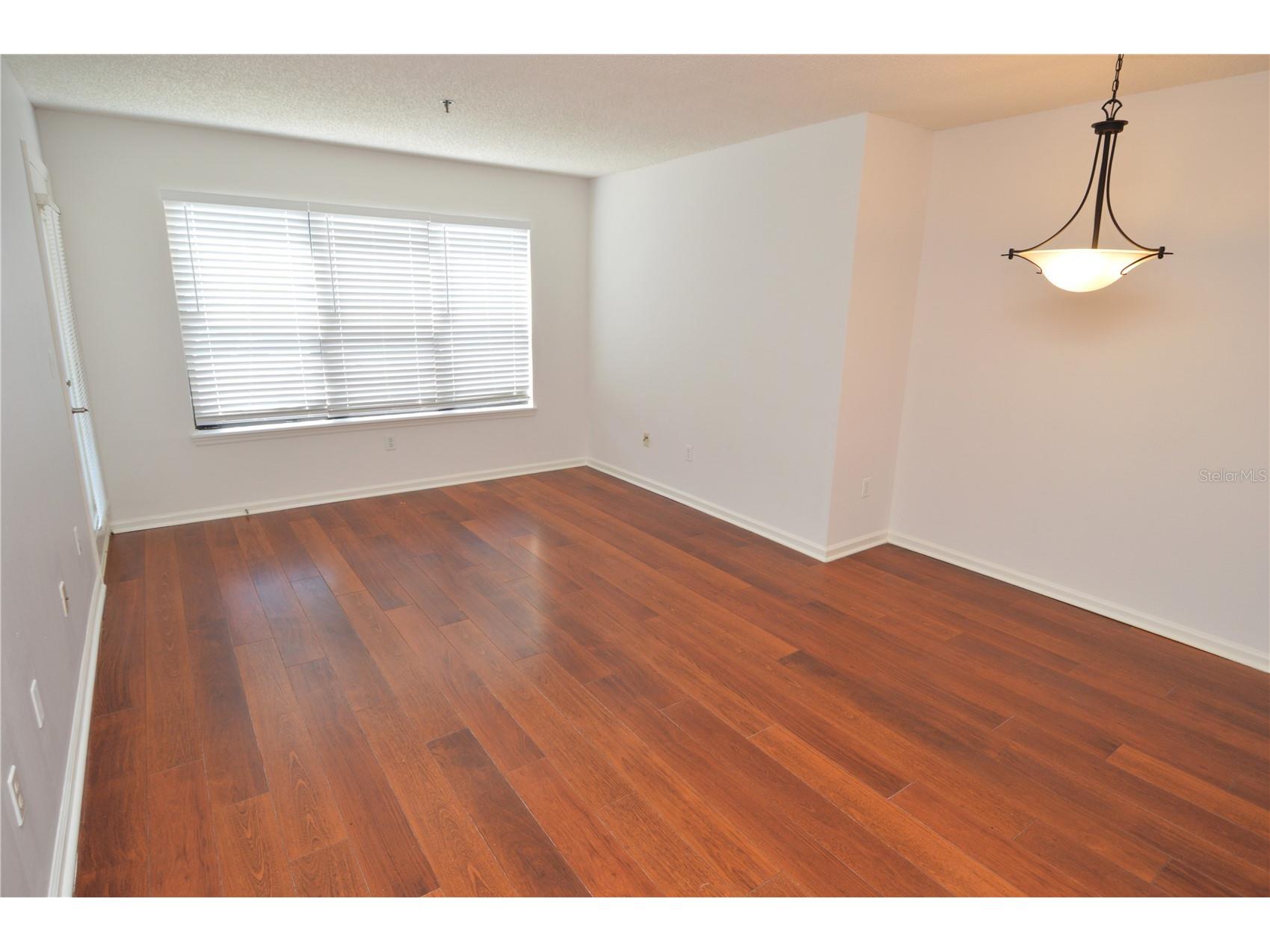 11901 4th Street N #7204 Saint Petersburg FL 33716 TB8520858 image13