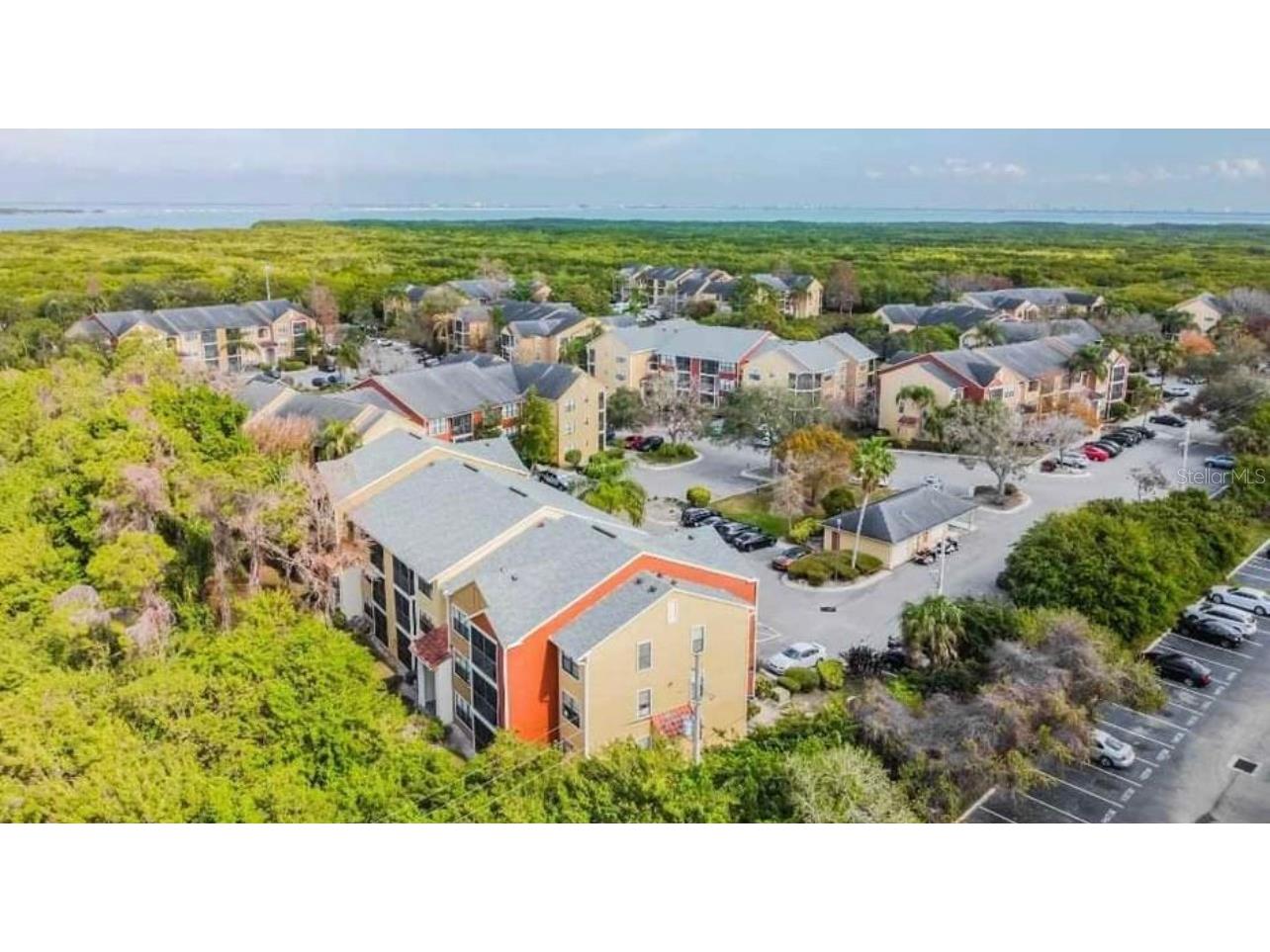 11901 4th Street N #7205 Saint Petersburg FL 33716 U8242013 image1