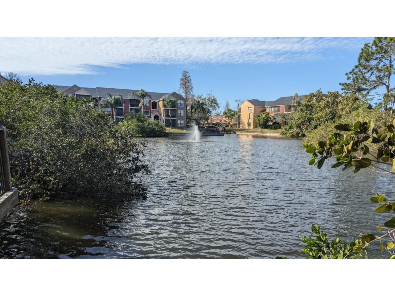 11901 N 4th Street N #5212 Saint Petersburg FL 33716 - TAMPA BAY TB8479475 image12