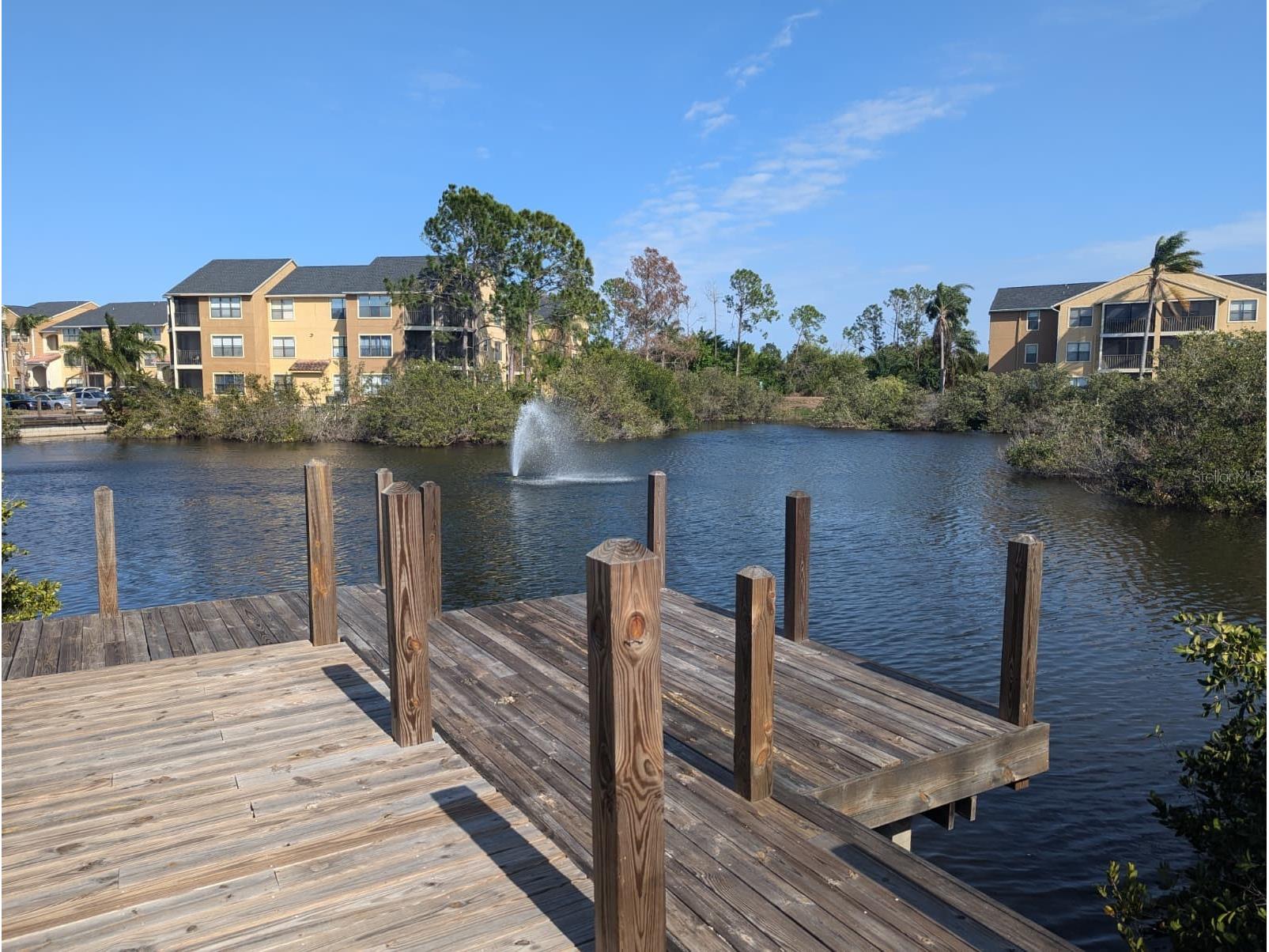 11901 N 4th Street N #5212 Saint Petersburg FL 33716 - TAMPA BAY TB8479475 image24