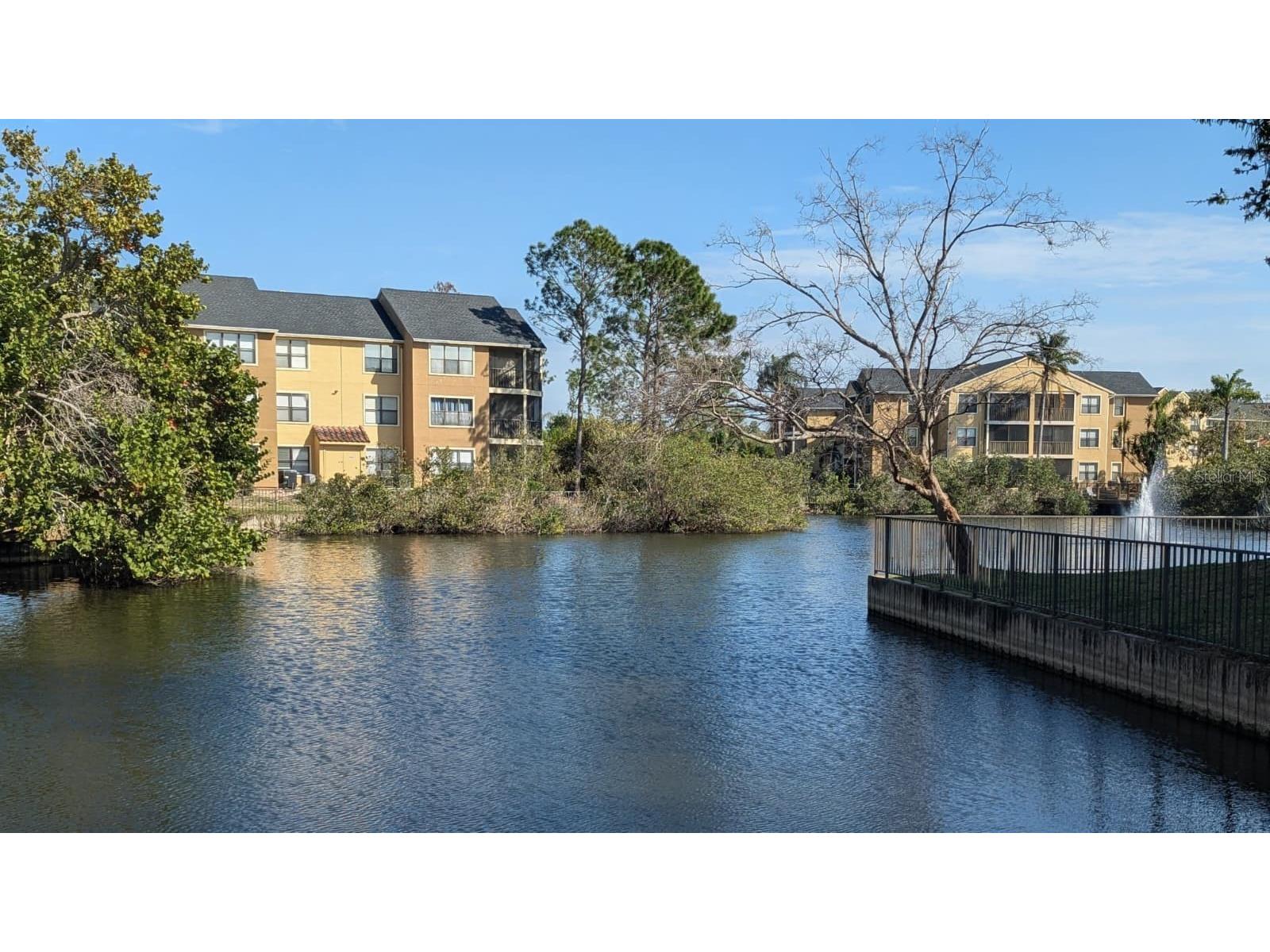 11901 N 4th Street N #5212 Saint Petersburg FL 33716 - TAMPA BAY TB8479475 image6