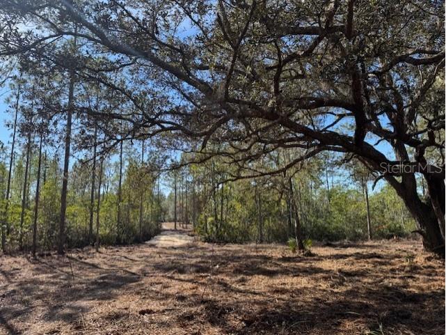 11901 Ne 150th Ave Road Fort Mc Coy FL 32134 OM687596 image1