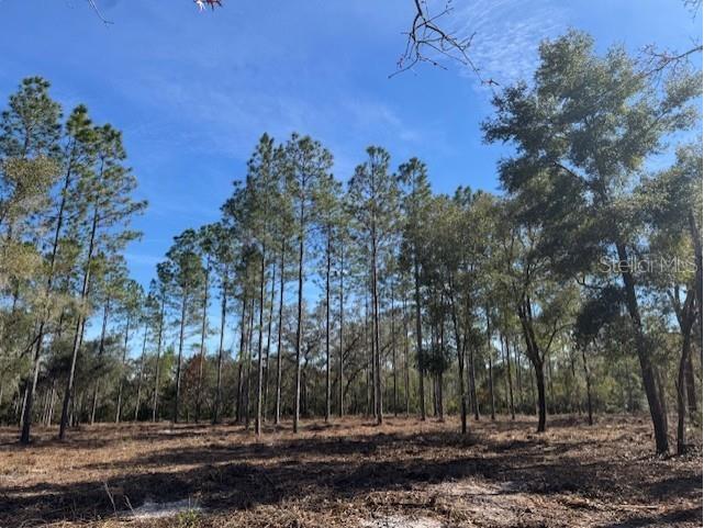 11901 Ne 150th Ave Road Fort Mc Coy FL 32134 OM687596 image11