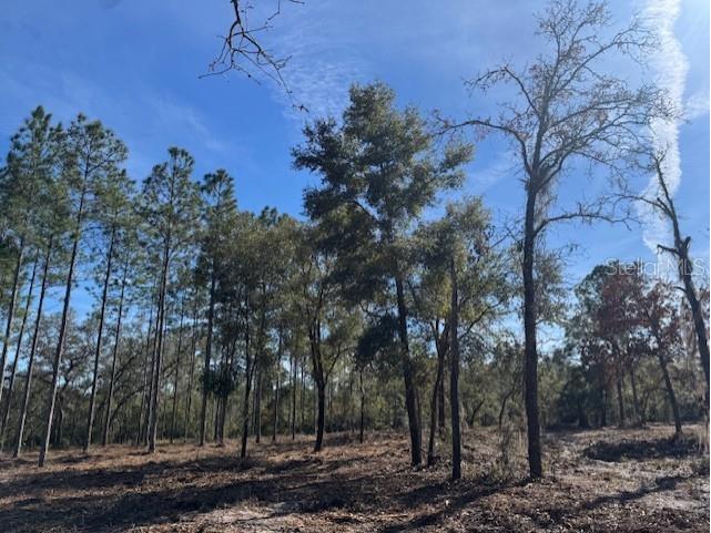 11901 Ne 150th Ave Road Fort Mc Coy FL 32134 OM687596 image12