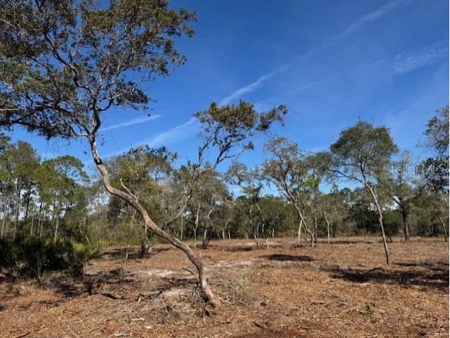 11901 Ne 150th Ave Road Fort Mc Coy FL 32134 OM687596 image13