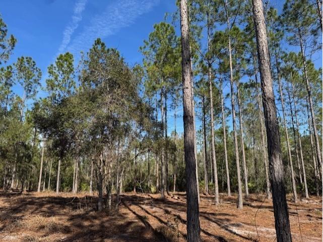 11901 Ne 150th Ave Road Fort Mc Coy FL 32134 OM687596 image14